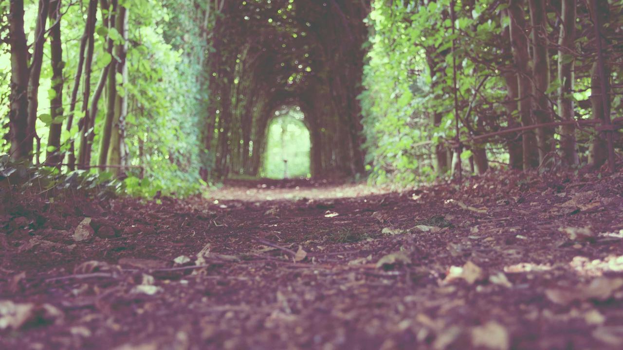 course-thumbnail