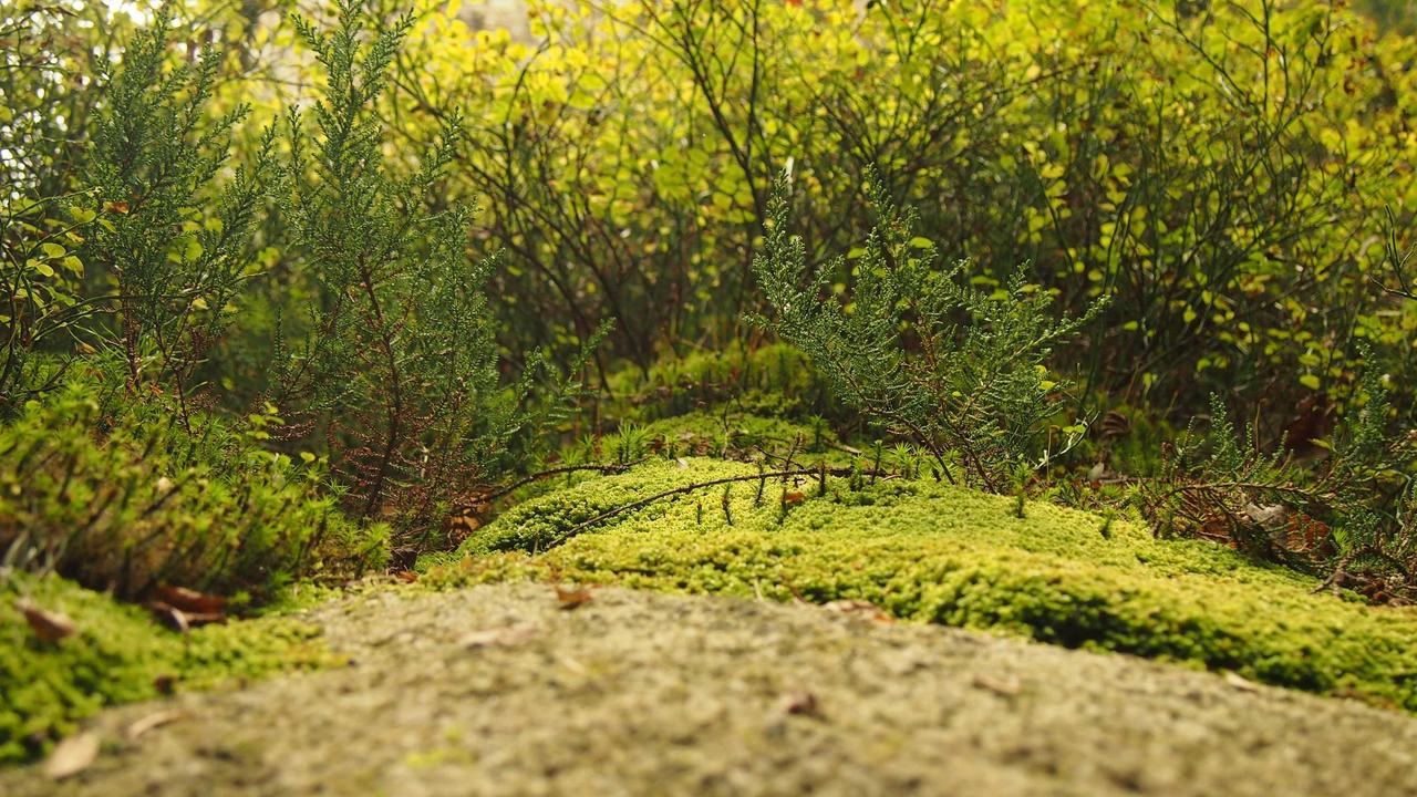 course-thumbnail